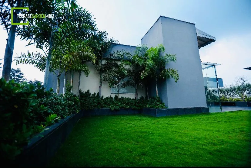 Terrace Garden India landscape project